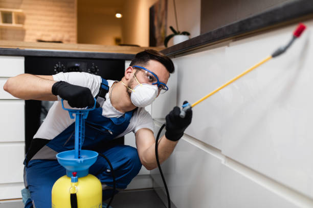 Best Affordable Pest Control Services  in Vienna Bend, LA