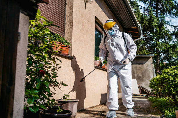 Best Rat Extermination Near Me  in Vienna Bend, LA