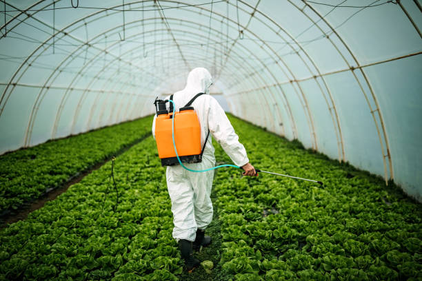 Best Best Pest Control Companies  in Vienna Bend, LA