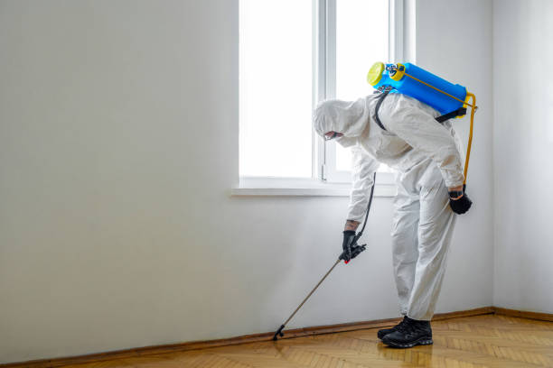 Best Best Pest Control Companies  in Vienna Bend, LA