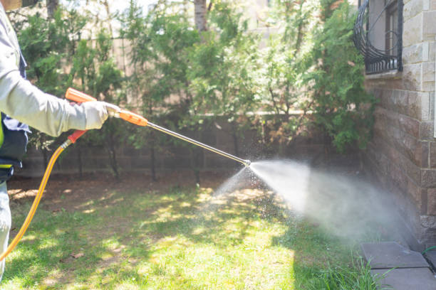 Best Affordable Pest Control Services  in Vienna Bend, LA