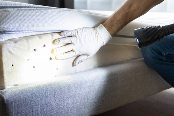 Best Cockroach Control Services  in Vienna Bend, LA