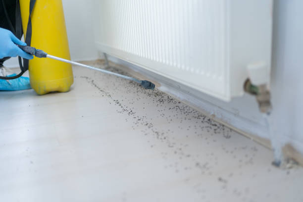  Vienna Bend, LA Pest Control Pros